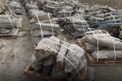 Głazy ogrodowe gnejsowe