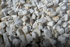 Grys biała marianna